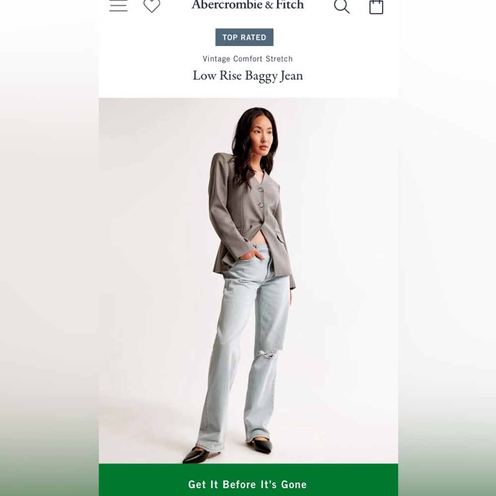 Abercrombie & Fitch Low Rise Baggy Jean. Size 27 Long. BNWT Never Worn!